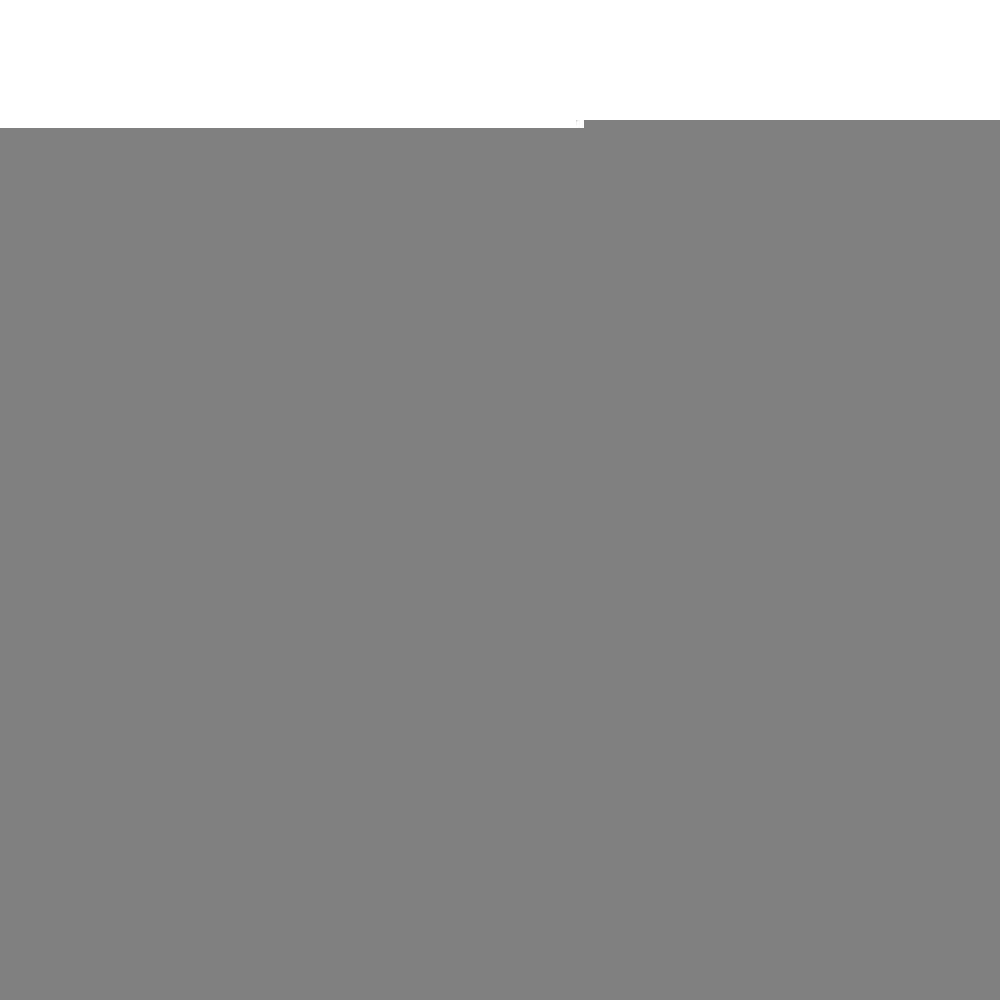 FİXPOİNT P-1369 ÇEVİRMELİ SİLGİ*24