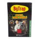 Bytrap Pasta Fare Zehri x 12 Adet