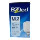 Bizim Torch 100 LED 20W LED Ampul