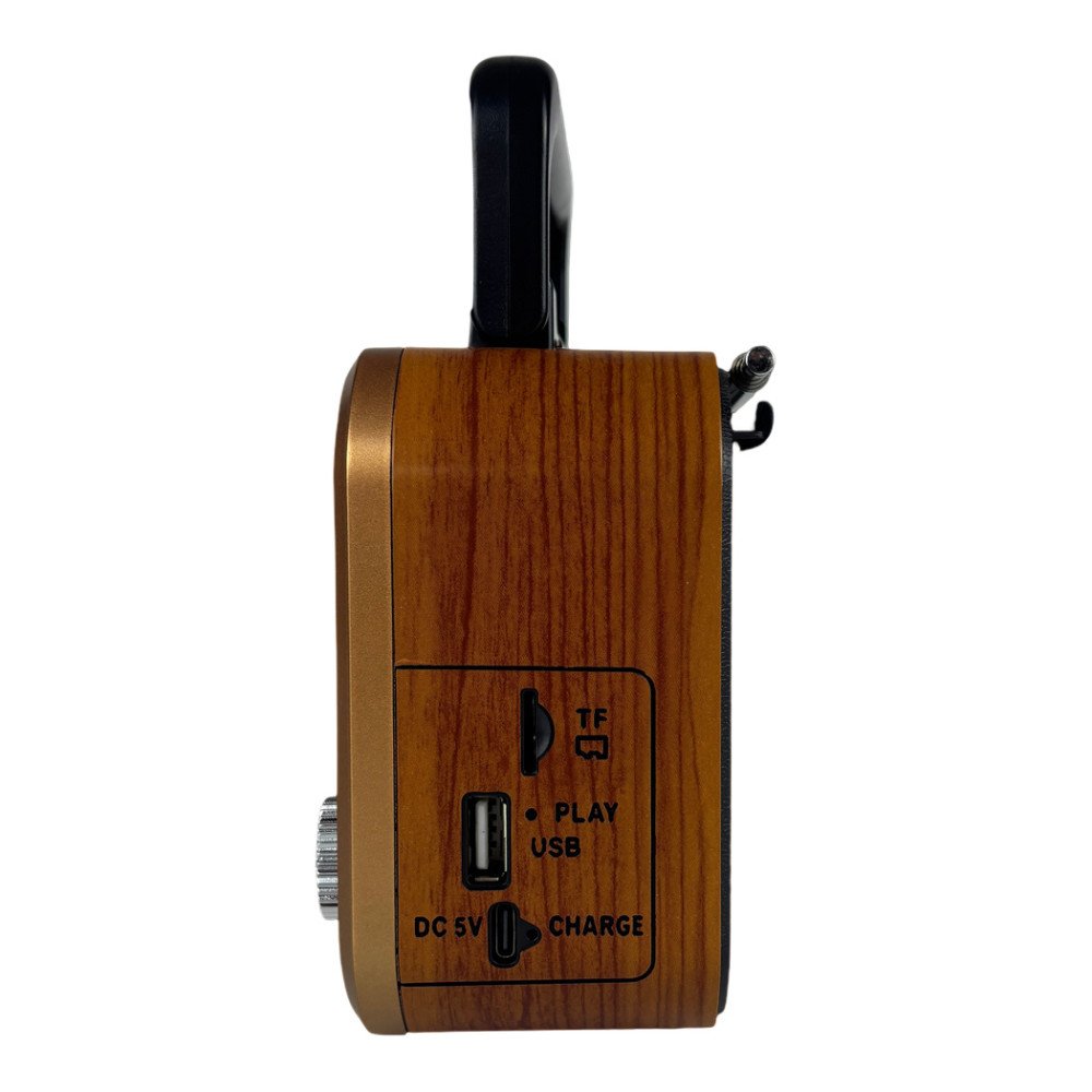 NNS NS-7113BT Bluetooth Hoparlörlü FM/AM/SW Radyo ve Analog Saat