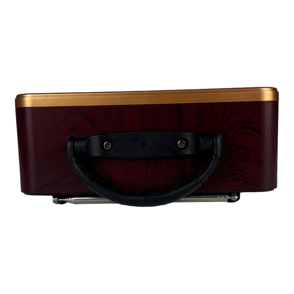 NNS NS-8898BT Analog Saatli Retro Bluetooth Radyo ve USB/TF Müzik Çalar