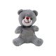 Peluş 25cm Kurdaleli Renkli Ayı