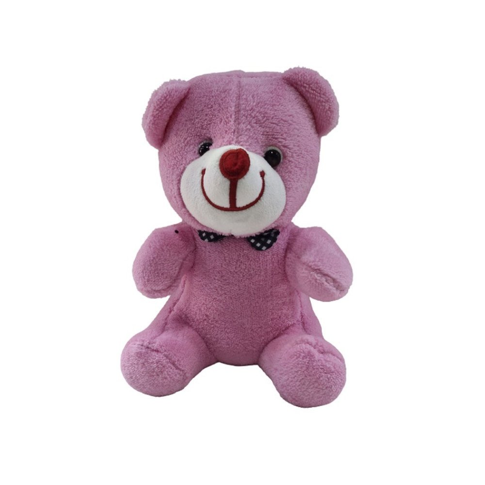 Peluş 25cm Kurdaleli Renkli Ayı