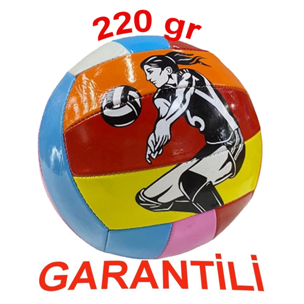 Voleybol Topu BSV444 Dikişli 220gr