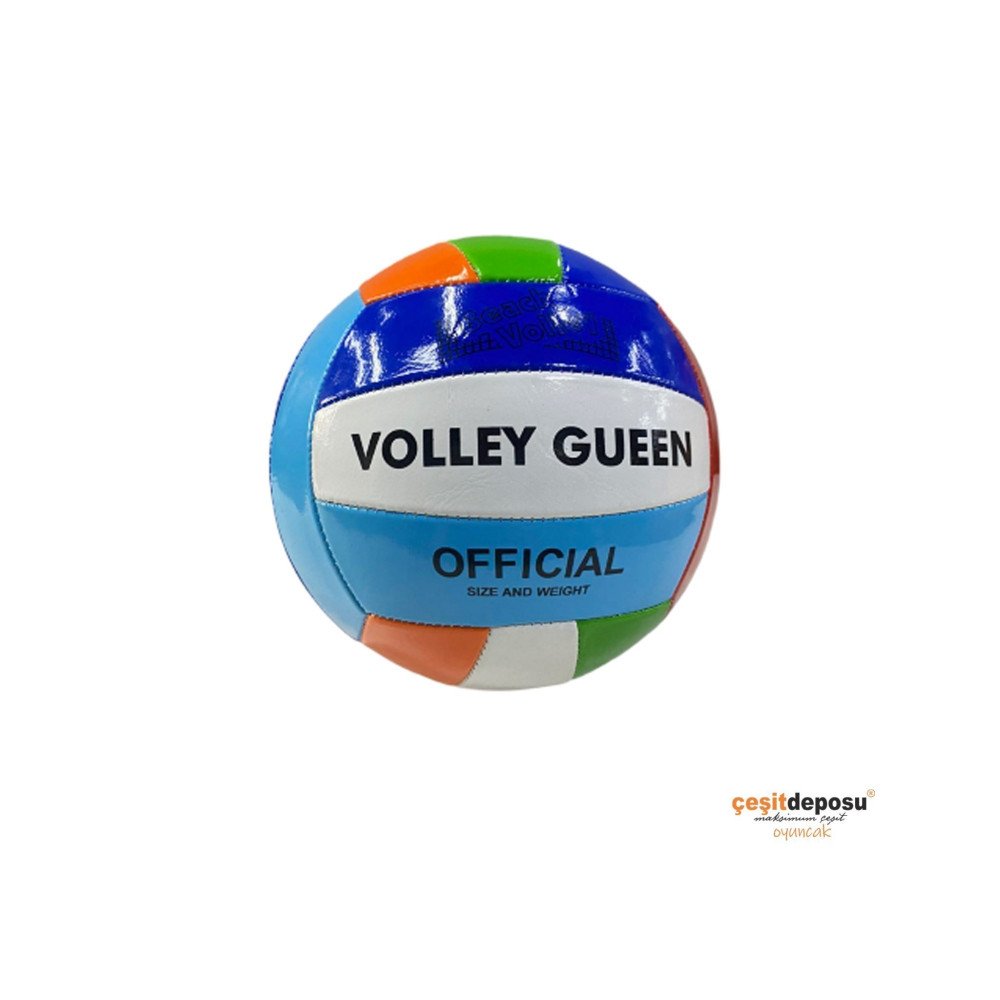Voleybol Topu BSV444 Dikişli 220gr