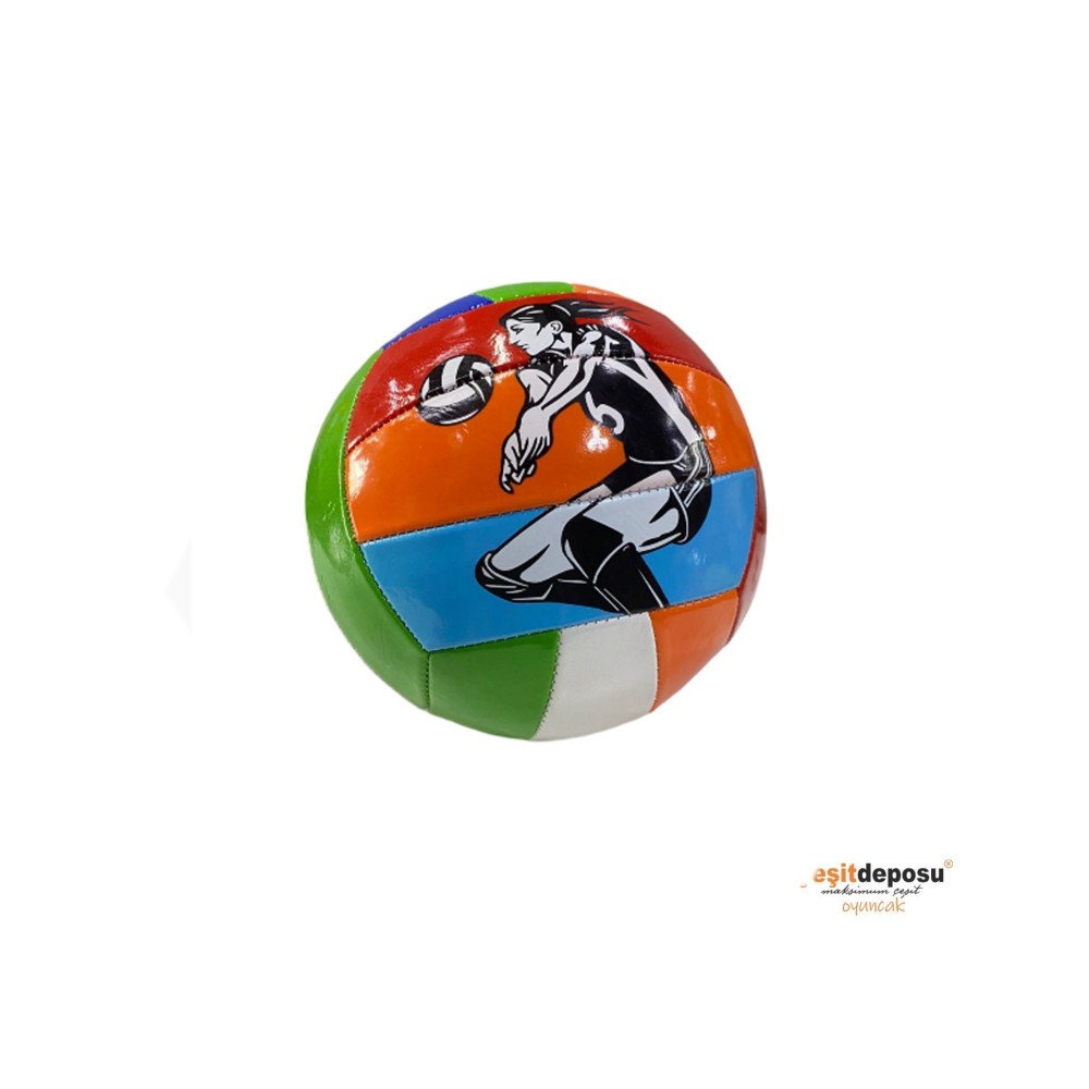 Voleybol Topu BSV444 Dikişli 220gr