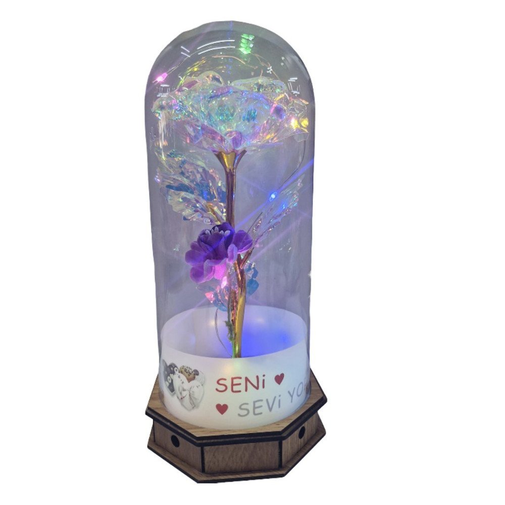 Kutulu 9E Işıklı Cam Fanus Love