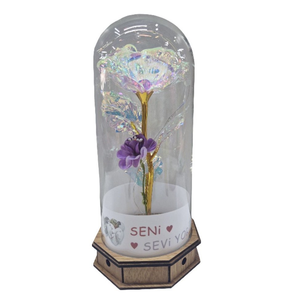 Kutulu 9E Işıklı Cam Fanus Love