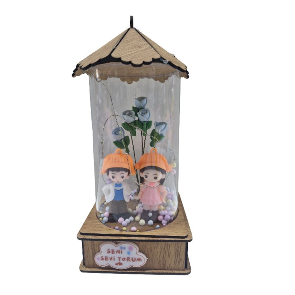 Kutulu 9A Işıklı Cam Fanus Hediyelik