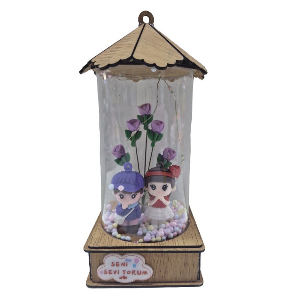 Kutulu 9A Işıklı Cam Fanus Hediyelik