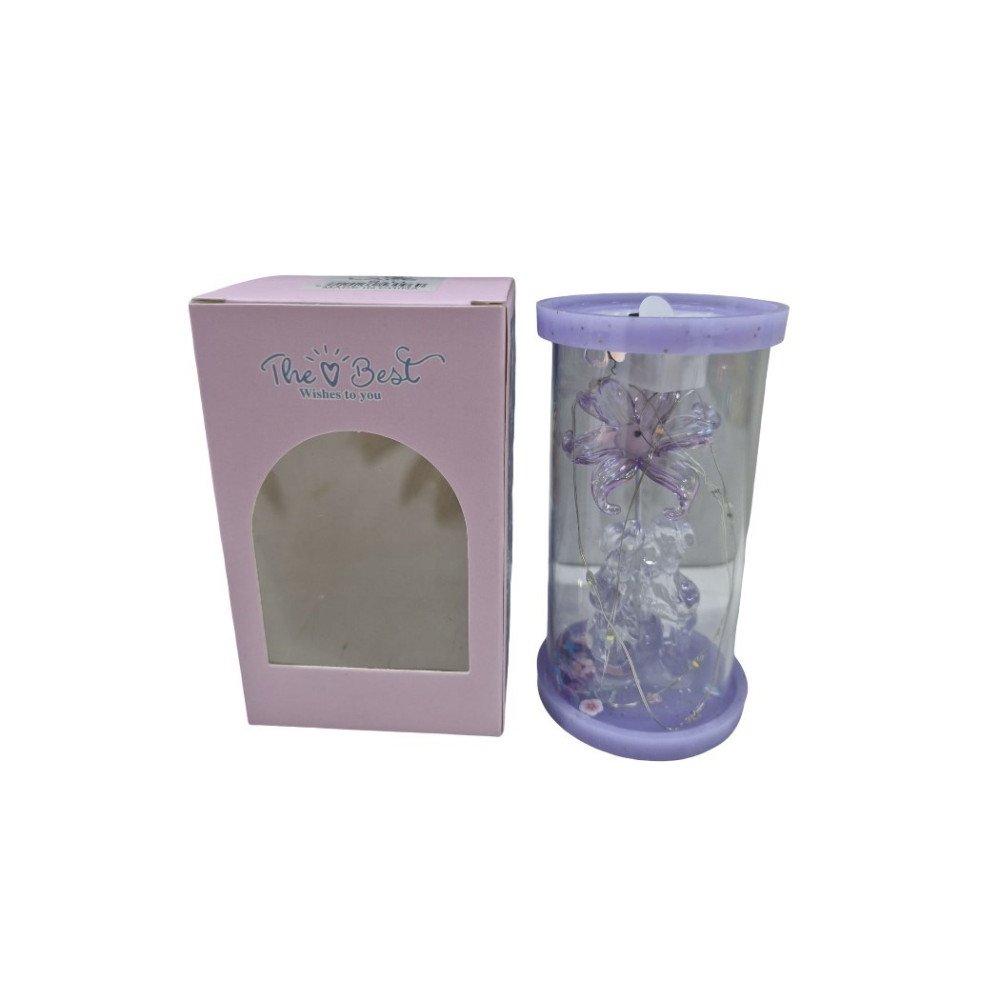 Kutulu 9U Işıklı Cam Fanus Sevgili Hediyelik