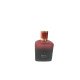 RİPOSTE RED MOON 100ML*12