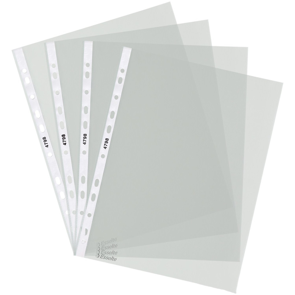 Şeffaf Dosya *100Ad